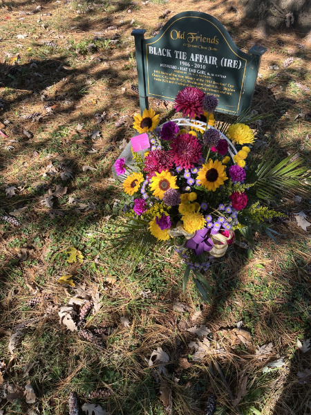 Old Friends tweet media