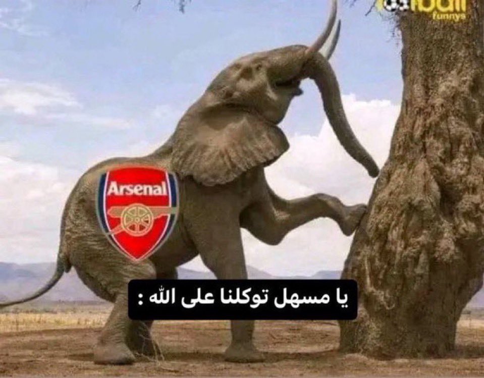 متصدرين الدوري والأبطال