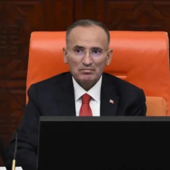 Uxlab yotgan ayolning nam tukli mushuk