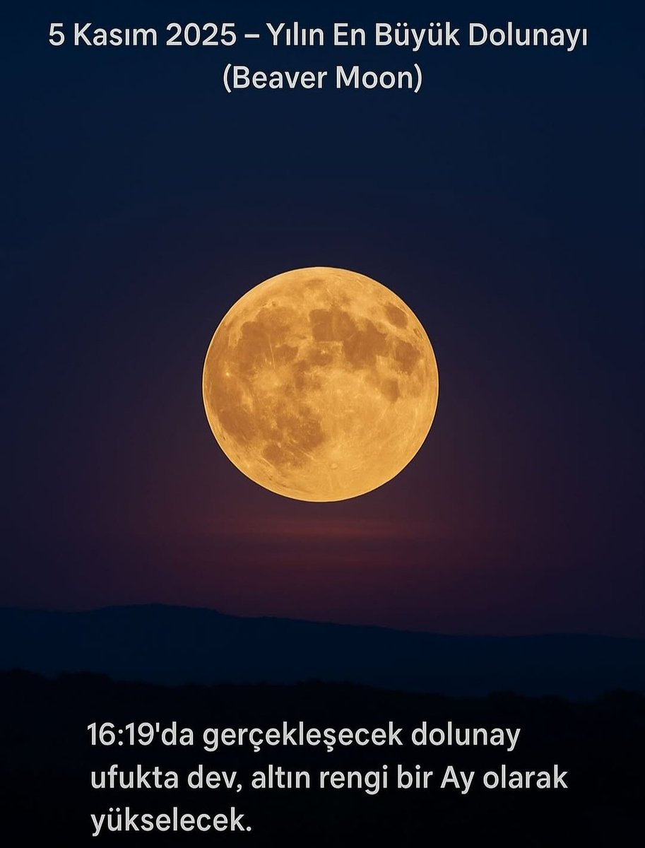 Manitasi olan arkadaşlarım bol bol anı biriktirin. Alın manitayı ayı görebileceğiniz bir yere gidip sevdiceğinizi göğsünüze yatırın. Hava serin olacağından tv battaniyesini de sirtiniza dolayın ve maniti kollarınızla sarın. Manzaranızı bilmiyorum ama siz çok güzel görüneceksiniz.