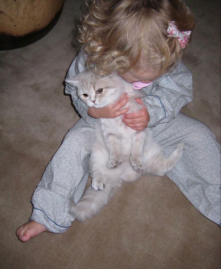 🪽 (@babysmelll) on Twitter photo 