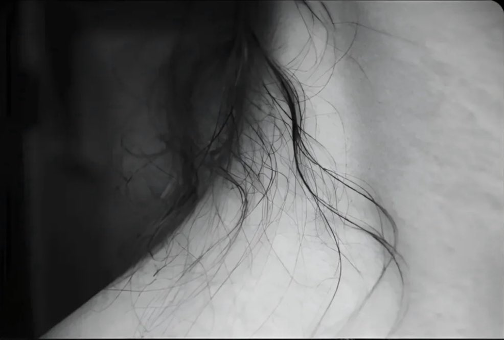 وَشَعرٍ تَدَلَّى فَوقَ جِيدِ العَوَاطِلِ
 شَتَاتٍ كَأَمثَالِ الغُصُونِ الذَّوَابِلِ
- سلمان