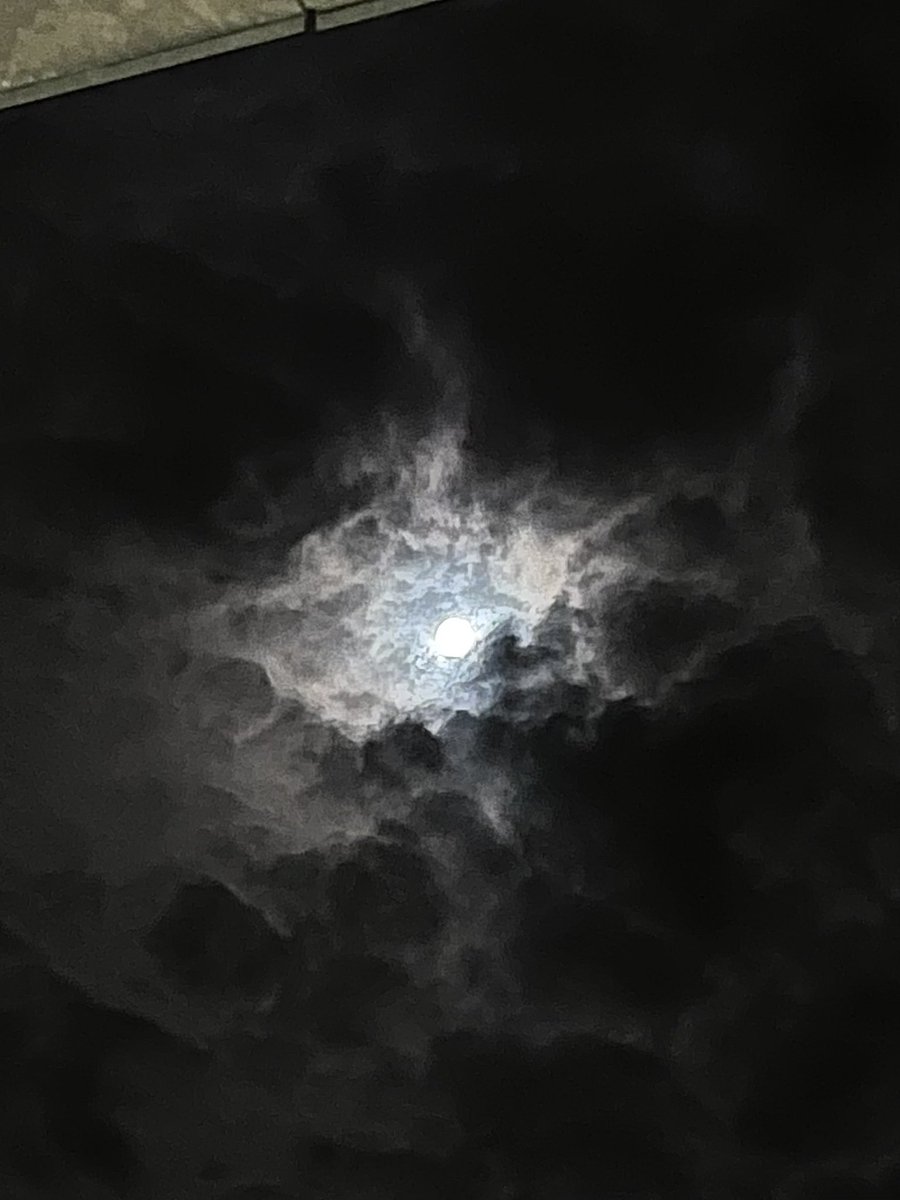 랩실탈출 집쭈고🚶🏻‍♀️🚶