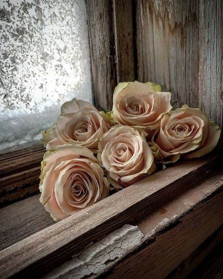 <a href="/G9C9G/">‏﴿ االادارة العامه ﴾🤍</a> <a href="/07_H_07/">ابـــــو جــــواد 707</a> <a href="/re0500/">💞الحساب للبيع 💞🇸🇦🌿</a> <a href="/__lYlUY/">‏┋♔ أم غــزل ♔┋🇸🇦</a> <a href="/7M__f/">مروءة امرأة</a> <a href="/Fekrahbs/">نلتقيـﮯ لنرتقيـﮯ💜</a> <a href="/D_232D/">‏ديــم موقفة تبادل</a> <a href="/__FB___/">جنون سعودي🤍 ‏</a> <a href="/_VSSI/">🇸🇦 ⱼᵤₘₐₙₐ</a> <a href="/ITY__TO/">♛JORY</a> <a href="/HJb8g/">نسيت اني نسيت</a> <a href="/Mobadawy122/">Mo badawy 6- October 💪 🦅🇪🇬</a> .
.
.
وبعض البشر أرواحهـم نــآدرة 
جعلوا من حياتهم كلها رحلة ضـــوء
 يضيئــون لمن حولهـــم، 
 أحياناً بفكـره، بجملـة عابرة أو إبتسامـة.
.
شكـــراً من القلب #اصدقاء_حلا_للتبادل
كل التحايـــا #سمر 
.
.