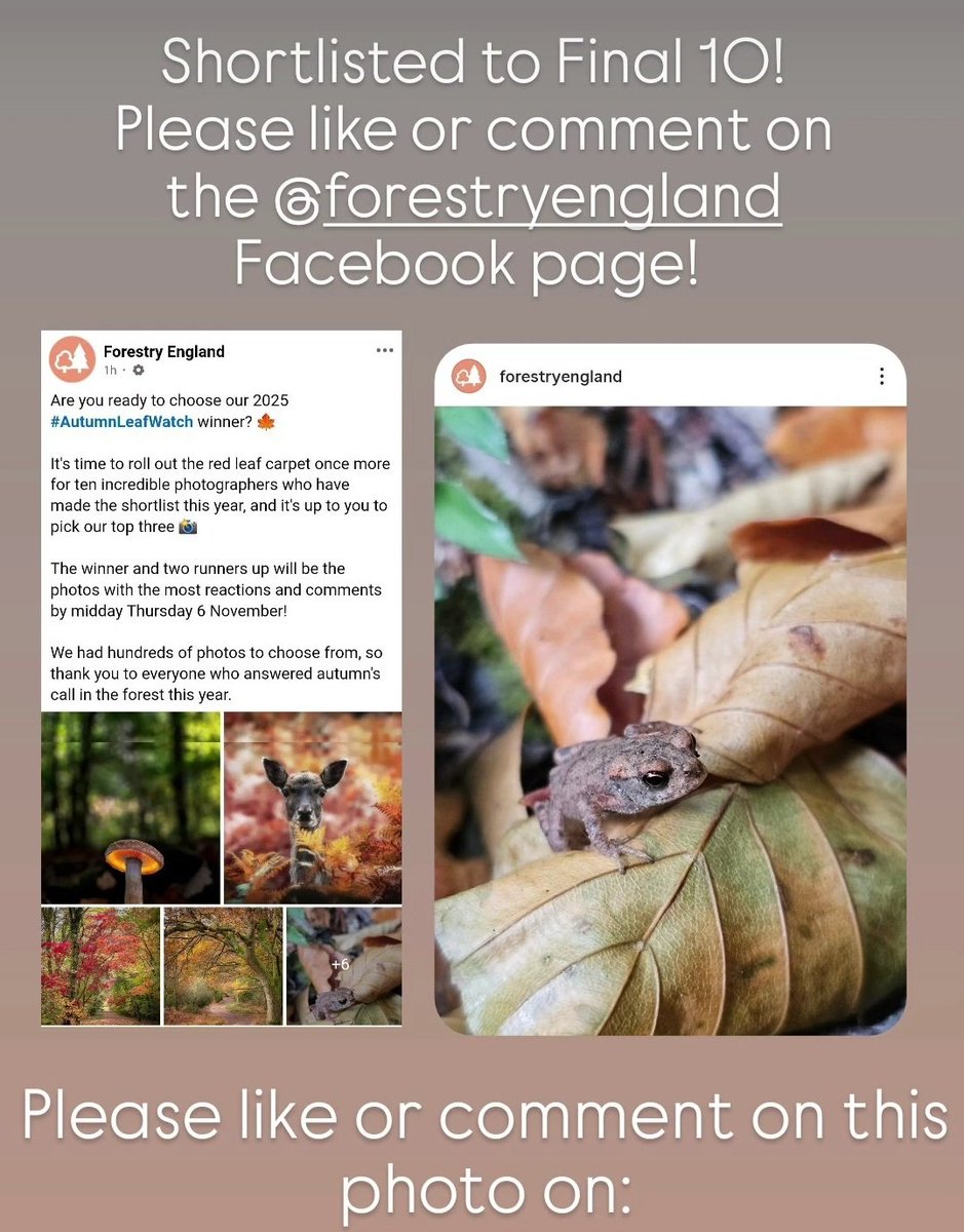 AP Capture with Freedom tweet media