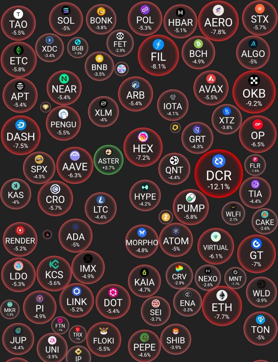 bolivian tweet media
