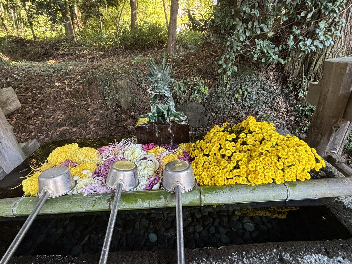 マキコ (@mHKKr0bQETNnION) / Posts / X マキコ (@mHKKr0bQETNnION) / Posts / X