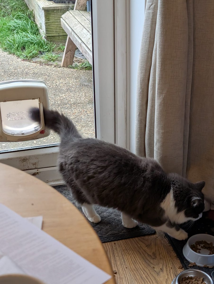 It's always a good day when you get to hear <a href="/MichaelRosenYes/">Michael Rosen 💙💙🎓🎓 NICE 爷爷</a> speak at sales conference. The fact that he has written a book based on my life is truly excellent and I cannot wait to sell it in! On his advice I have now accepted that Coco lives with me. #neighbourscat