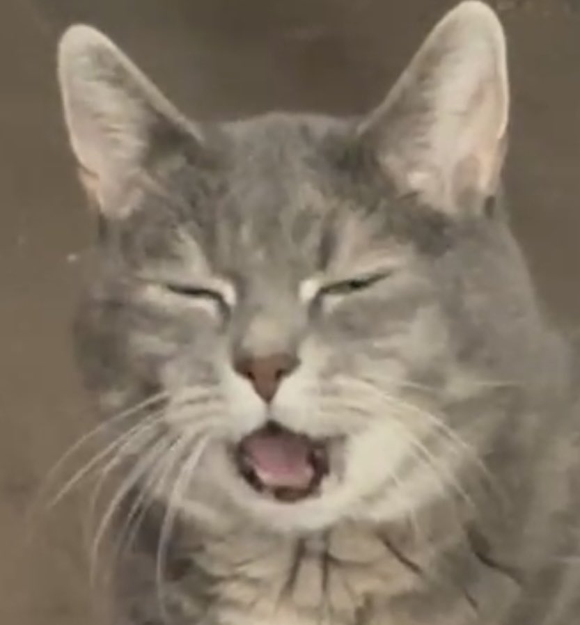 MOOD