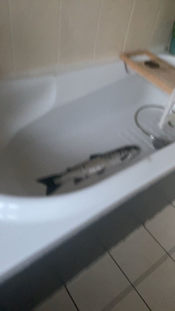 puca_4's tweet photo. Baby’s first bath ❤️ https://t.co/7s2ztqDZk4