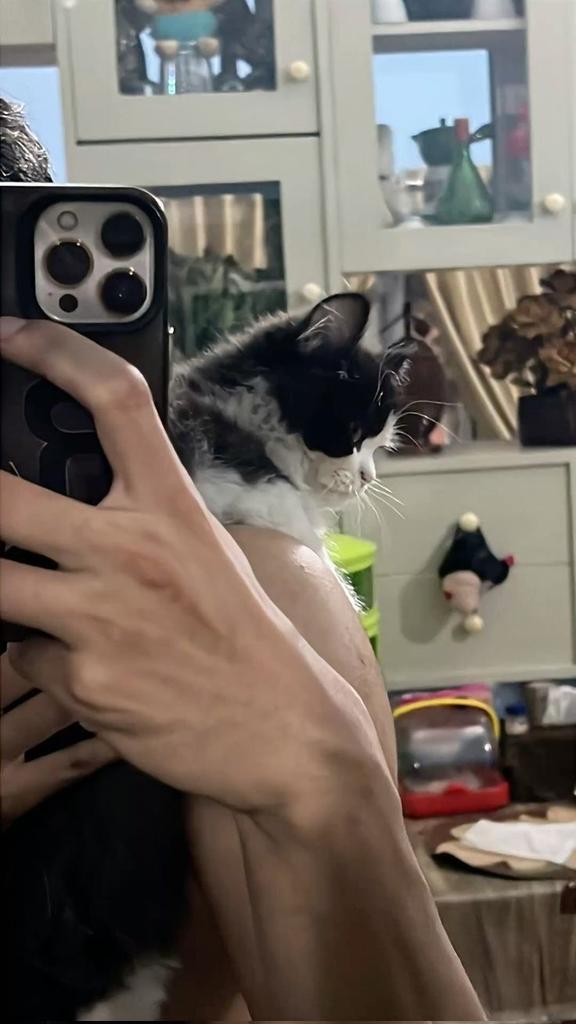 shadowtones's tweet image. sendo babá de felino