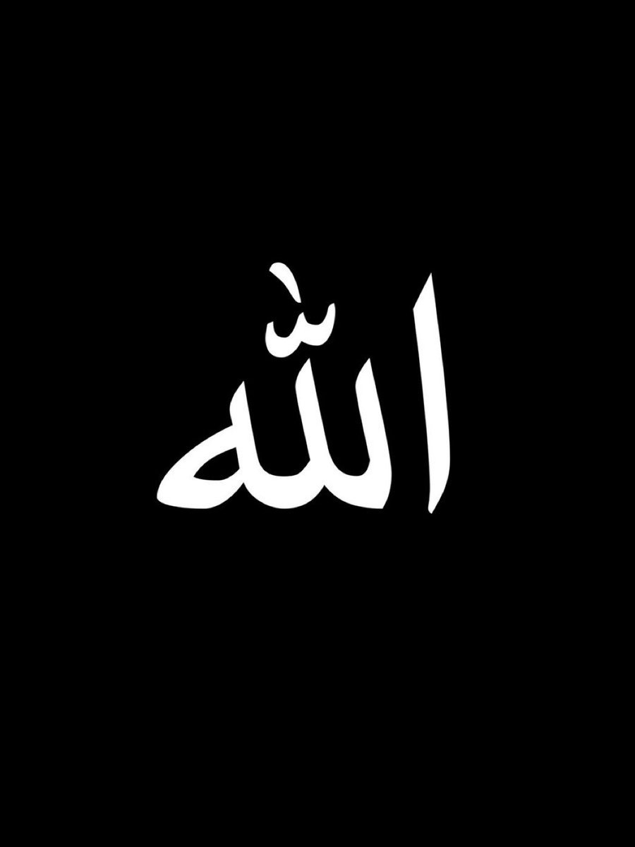 Halal Nation ☪︎ tweet media