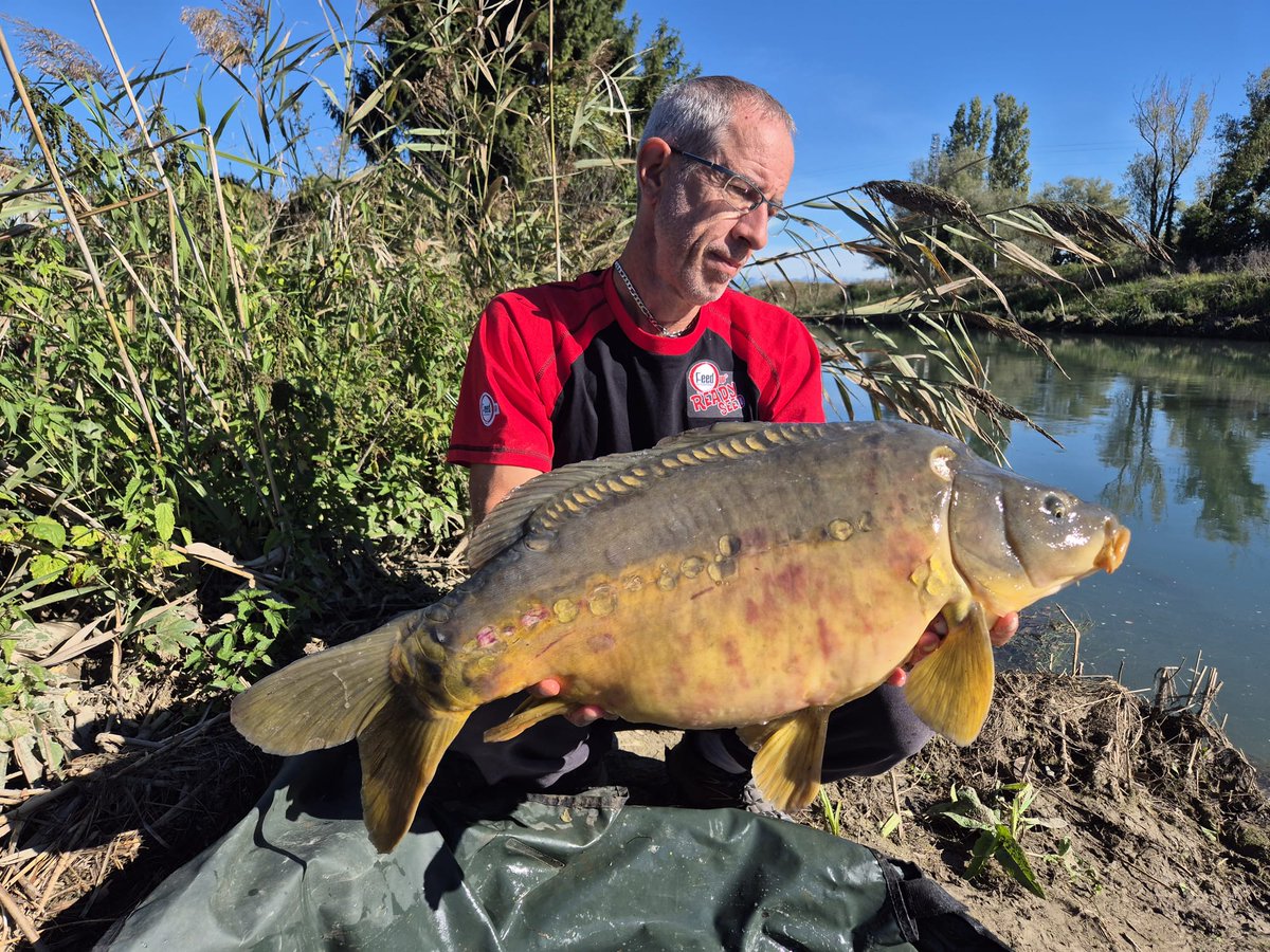 FeedupTeam's tweet photo. Member:Daniele "Carpele"
Bait:boiles Red Naked
Location:River
@spaccalabig.com https://t.co/PpSjojybBb