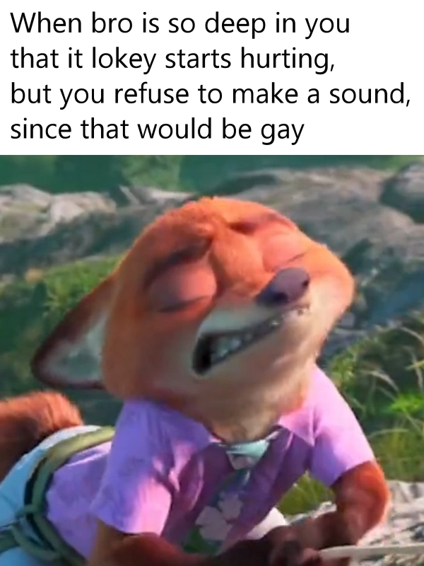 ArchyTheFox 🇦🇹 tweet media