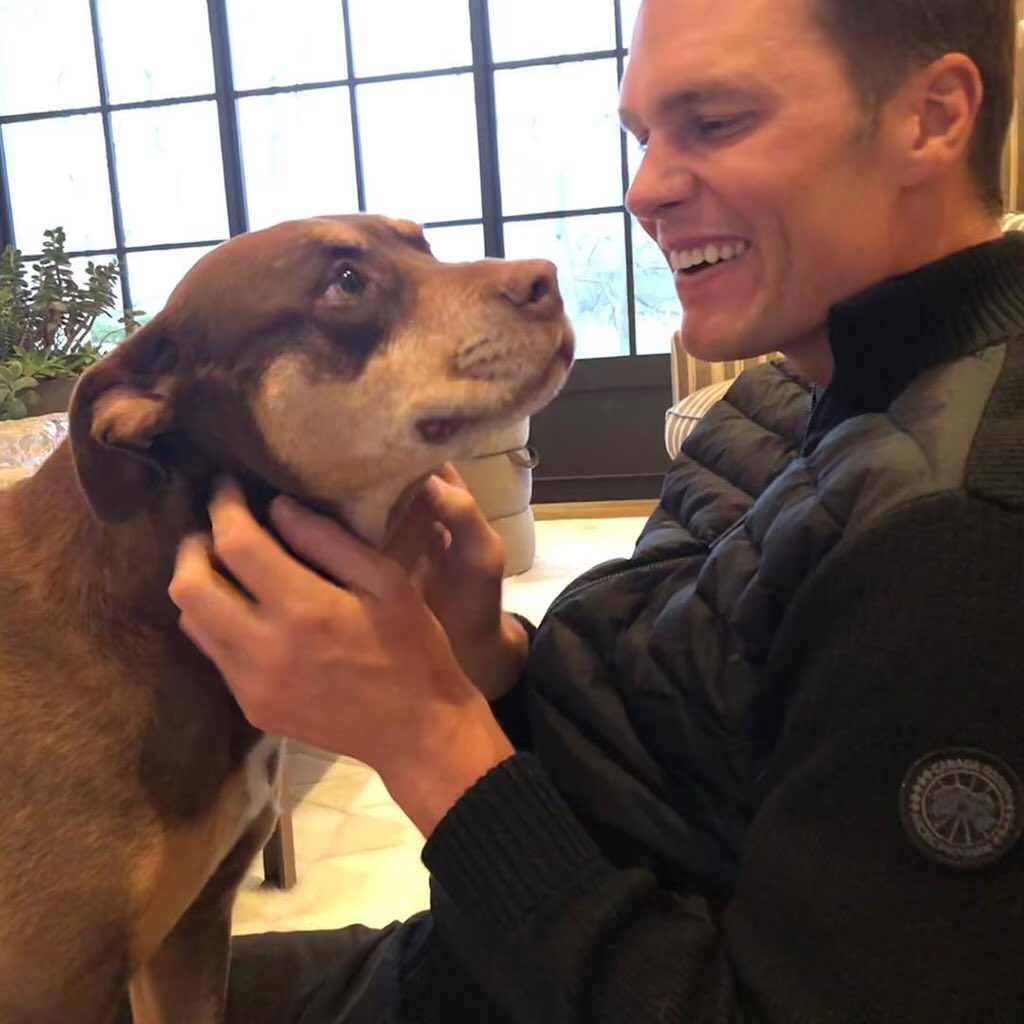 Tom Brady has revealed that his current dog, Junie, is a clone of his previous dog, Lua, who died in 2023. Brady, who is an investor in the biotech company Colossal Biosciences, used a blood sample from Lua, collected before her death, to create the clone.