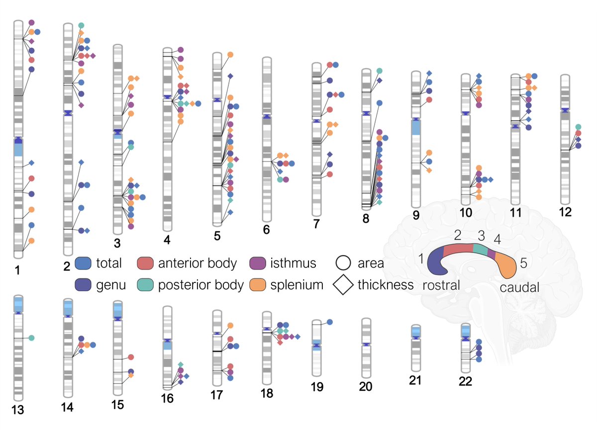 Ravi R. Bhatt tweet media