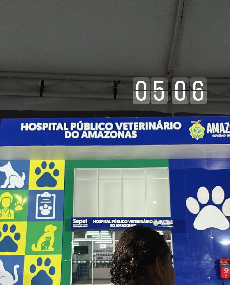 hoje eu tive minha primeira experiência completa no hospital veterinário público de Manaus. cheguei 05:04 e fui à ficha verde 12. amarelos são urgentes e vermelhos são emergentes (risco de morrer na fila). eu já sabia que seria verde então me preparei fisicamente e mentalmente+