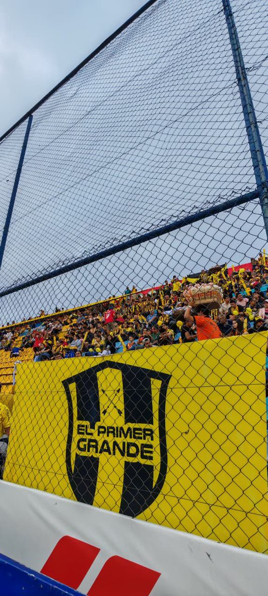 El Primer Grande tweet media