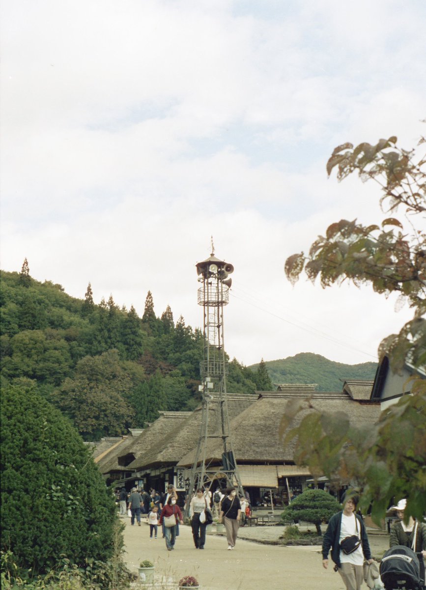 アルパカ茶 on X