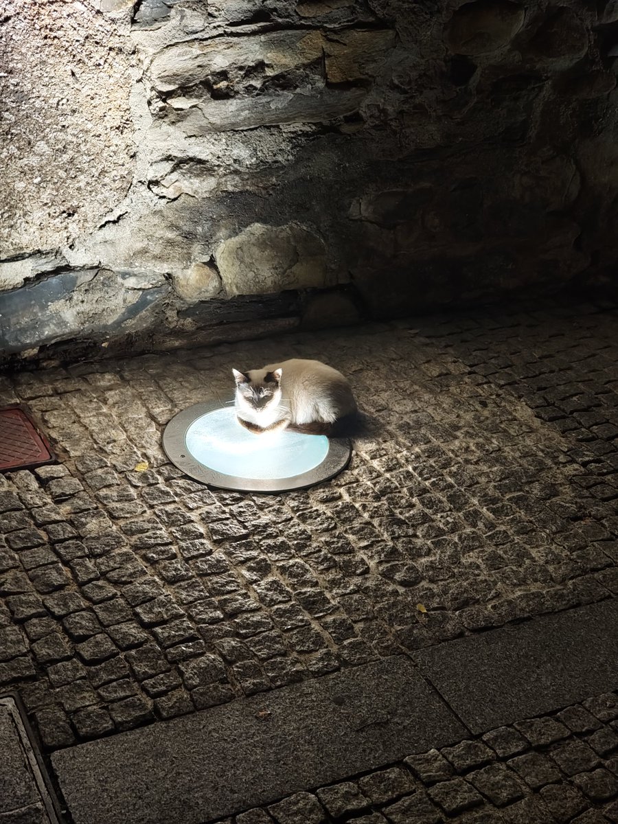 Sunnteck tweet media