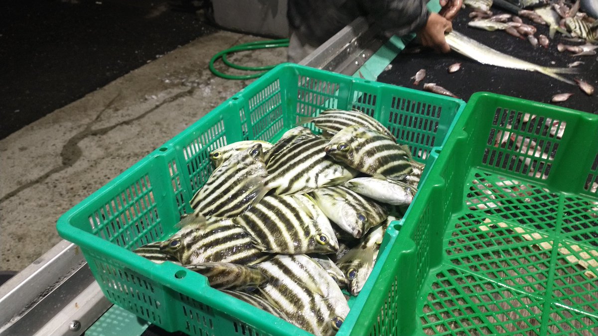 manazurugyokyo's tweet image. 旨そう😋