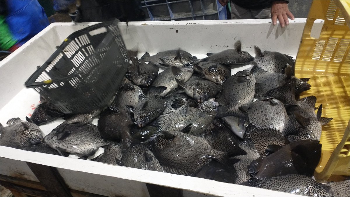 manazurugyokyo's tweet image. 旨そう😋