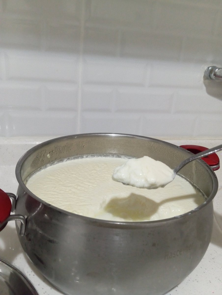 22 yaşındayım. Hayatımda ilk defa yoğurt mayaladım. Eşşek kadarsın daha yeni mi mayalıyon diyenler olacaktır. Evet arkadaşlar annem yaptırmıyodu çünkü bunu da kavga dövüş zorla yaptım