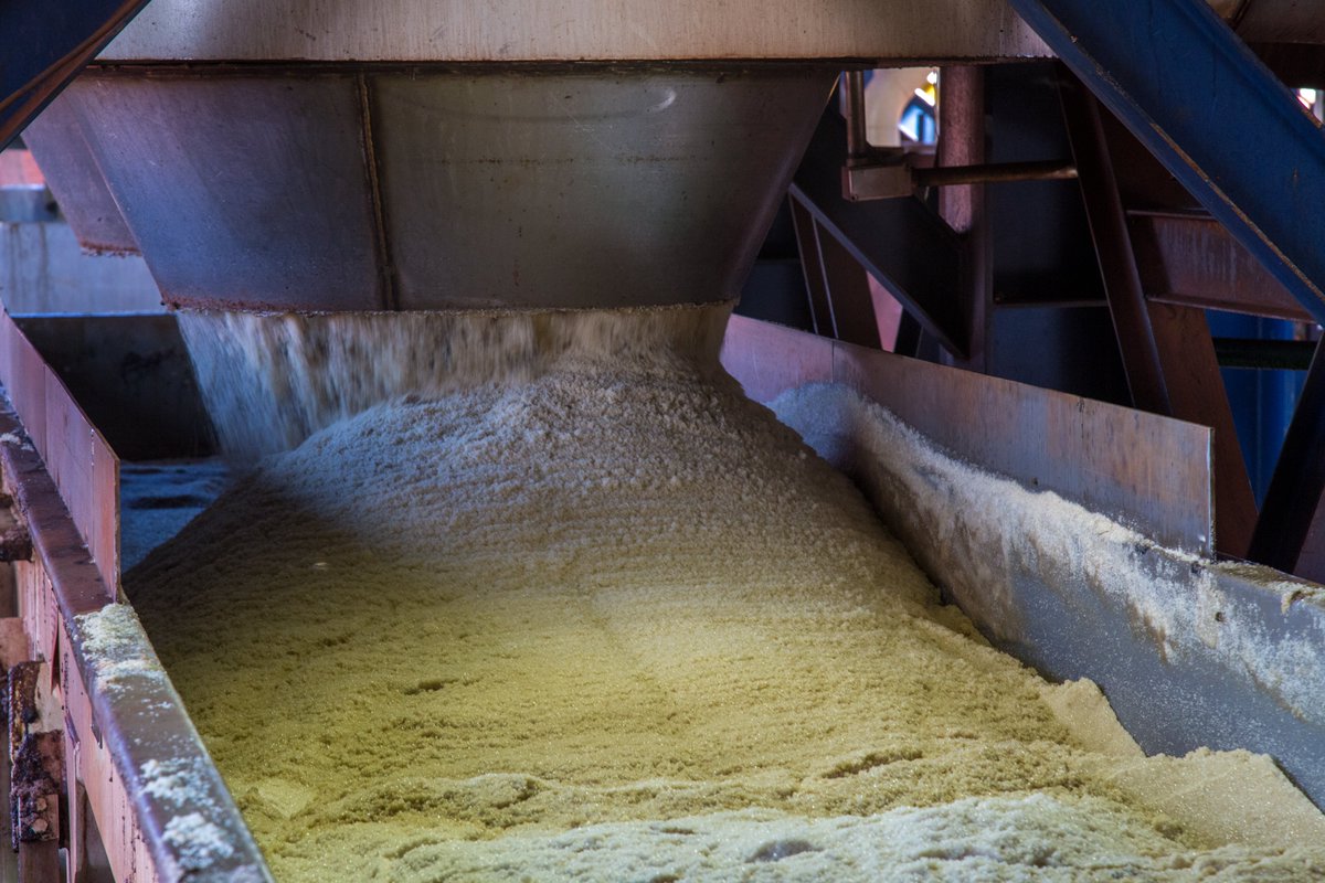 sugaronline's tweet image. #SUGAR NEWS #BRAZIL 🇧🇷: Conab estimates 2% increase in 2025/26 sugar production to 45 million metric tonnes: sugaronline.com/2025/11/04/bra…. Join us today to read the full story! #commoditiestrading #softcommodities #sugarindustry #sugarcane