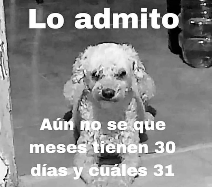 itsD3lay's tweet image. 