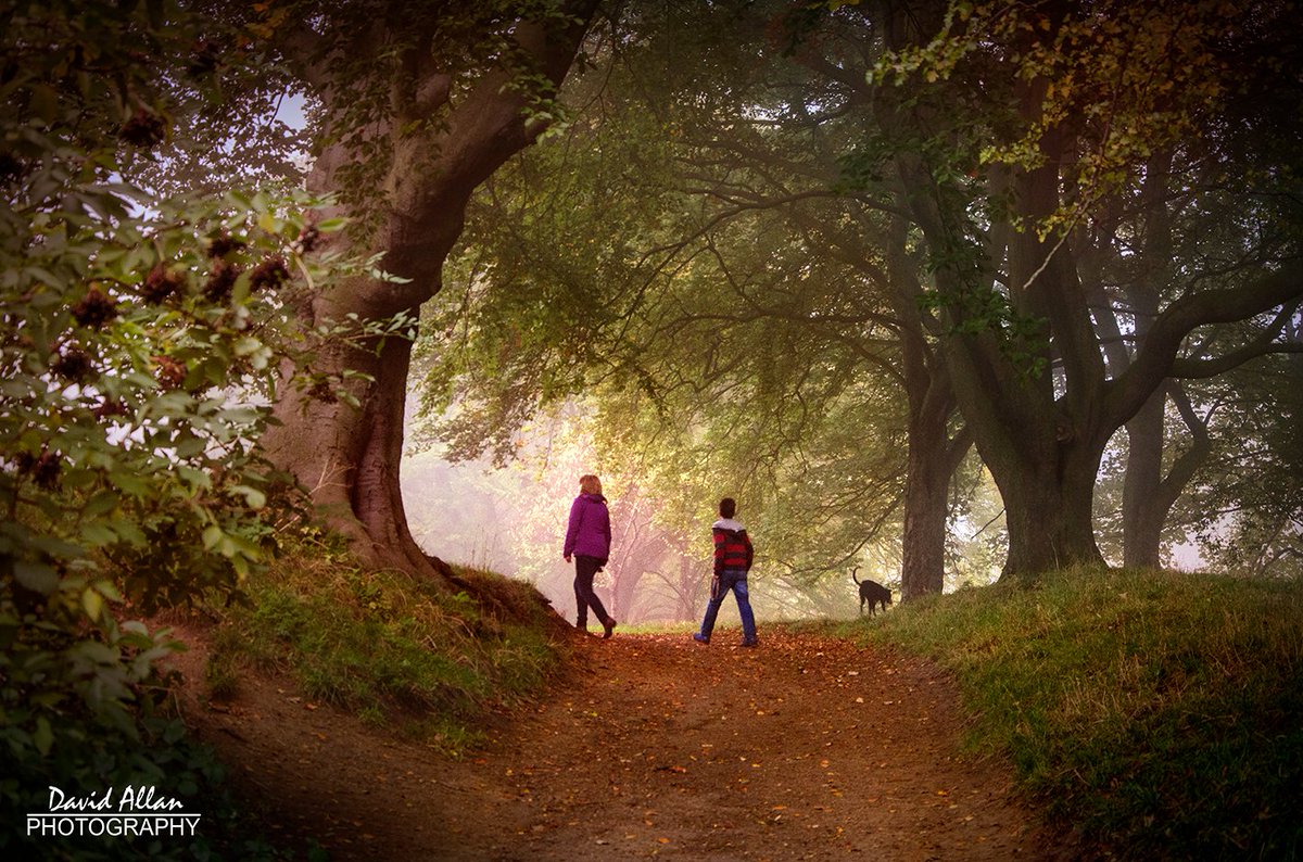 davidm_allan's tweet image. Still plenty of leaves waiting to fall, although it is getting to that point in the season when there is more leaf cover on the ground than up on the trees. This autumnal scene was captured in Sunderland&apos;s Backhouse Park, North East England. #england #sunderland #autumn #fall