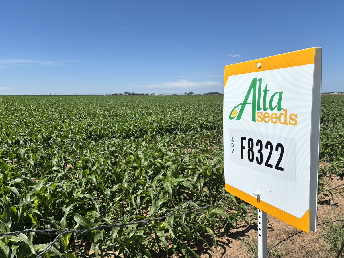 Across 11 university trials, Alta Seeds F8322 averaged 3.4 tons/acre more than NK 300 - that’s $1,360 more per bag. 

Performance + Profitability = F8322 

Ask your regional Advanta Seeds rep about adding it to your forage program today. 

us.altaseeds.com/representatives