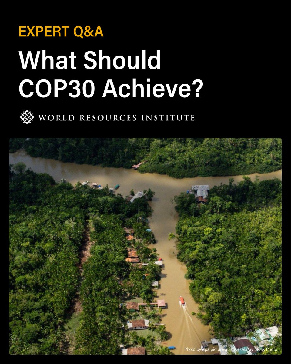 What will success at #COP30 look like?

WRI experts outline priorities for Belém, from stronger national commitments and adaptation finance to protecting nature and Indigenous land rights. 🌍

Read more 👉 bit.ly/3X9k1af
#ClimateAction #ClimateFinance #Adaptation #NDCs