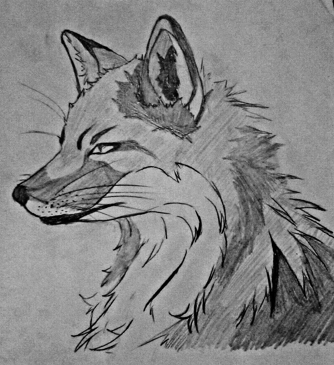 ReviMatterson's tweet image. FURRIES!!!!!!!! COMMISSION ME!!! AND MY LIFE - WILL BE YOURS 🙌🙌