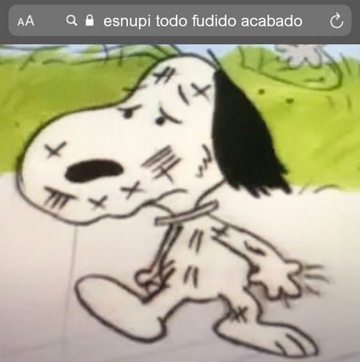 wtfk1ara's tweet photo. Minha mãe disse para eu voltar a fazer jejum pq eu engordei https://t.co/Nfmr6yNWY9
