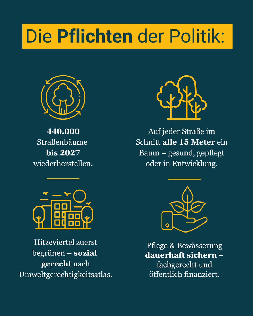 Baumentscheid tweet media