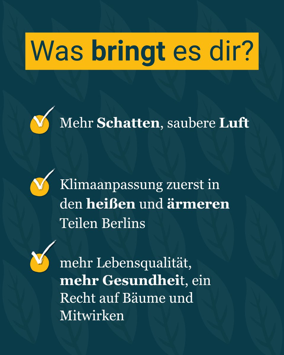 Baumentscheid tweet media