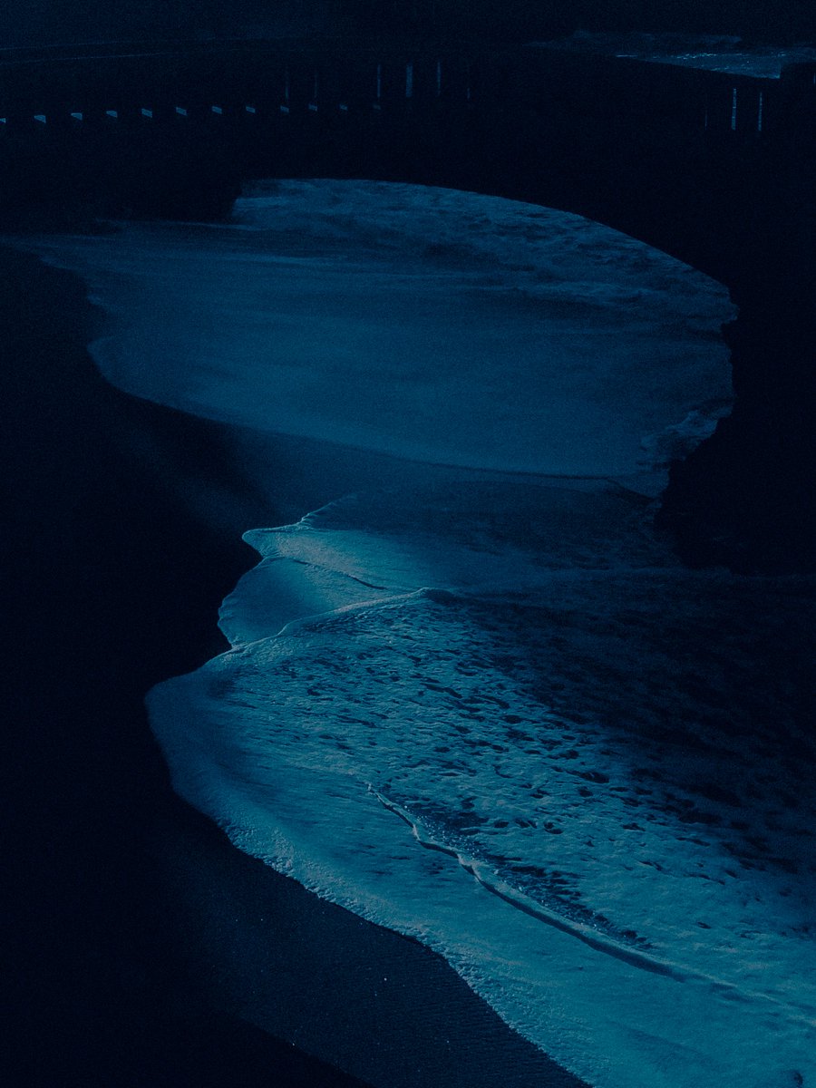 thomaquevic tweet media