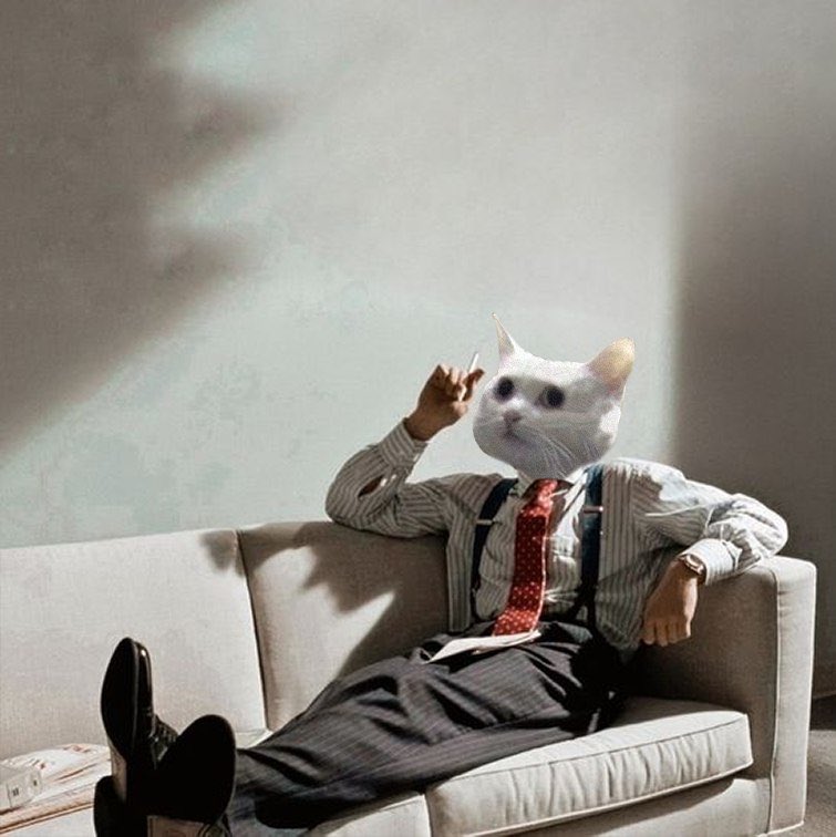 NOBIKO LONG CAT tweet media