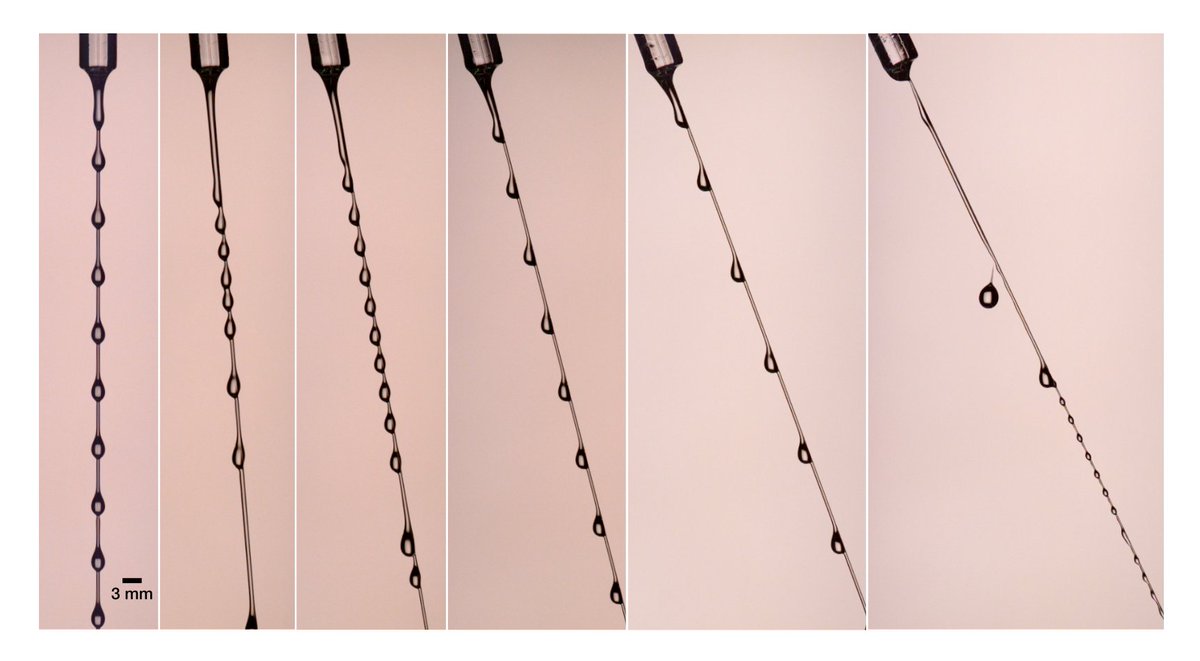 A simple tilt can drastically change the behavior of a liquid thread on a wire. Adjusting the angle of the wire at a fixed flow rate causes transitions from Rayleigh-Plateau to droplet drop-off, showing how geometry alone tunes the instability.

go.aps.org/47z7928