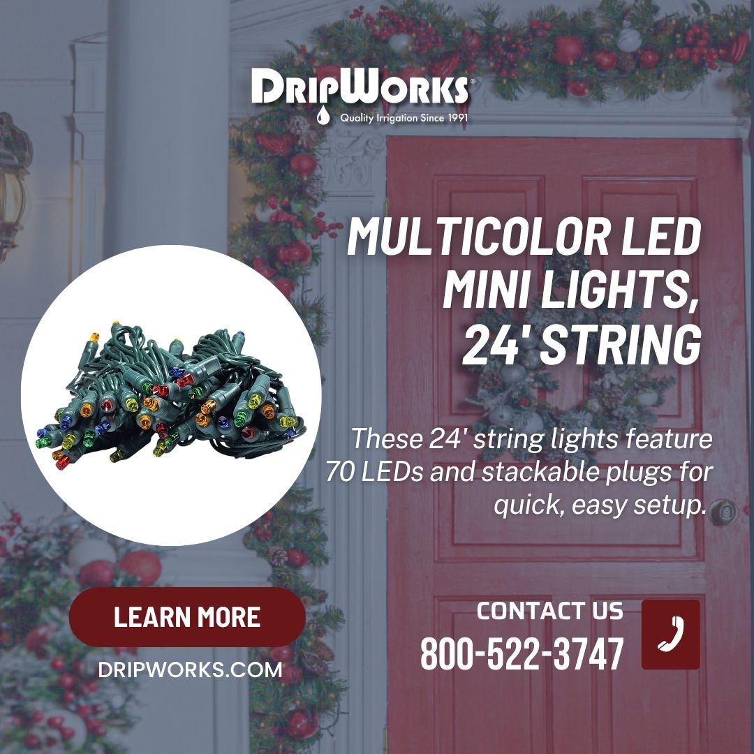 dripworksusa's tweet image. Light up your garden and your mood! 🌈✨
Our 24’ string of multicolor LED mini lights brings festive sparkle indoors or out—with 70 vibrant LEDs and stackable plugs for easy setup. 💡🌿

Shop now ➡️ dripworks.com/multicolor-led…
#DripWorks #OutdoorDecor #GardenGoals #HolidayReady