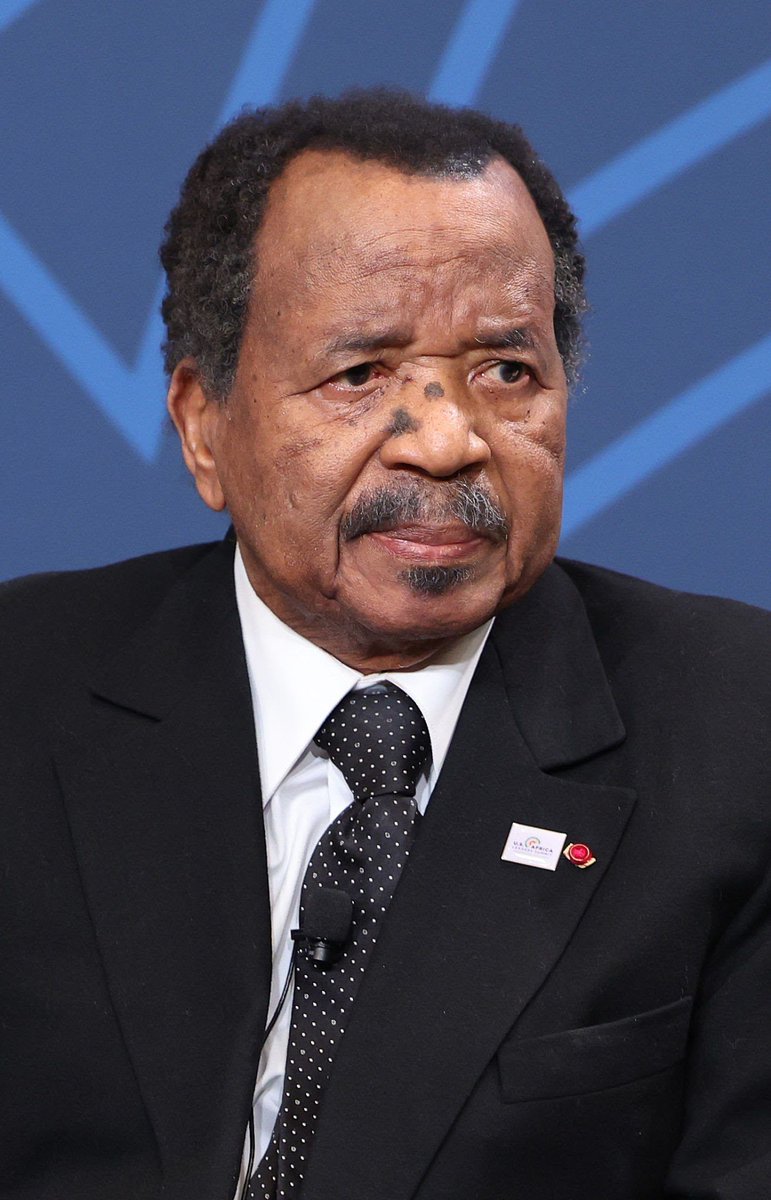 How Biya's reelection has been perceived internationally

No congratulations or words from the UK, the US and China, Cameroon's major allies

Only nine countries have sent congratulations, and eight are from Africa. 

Three organisations: the African Union, the African Commission