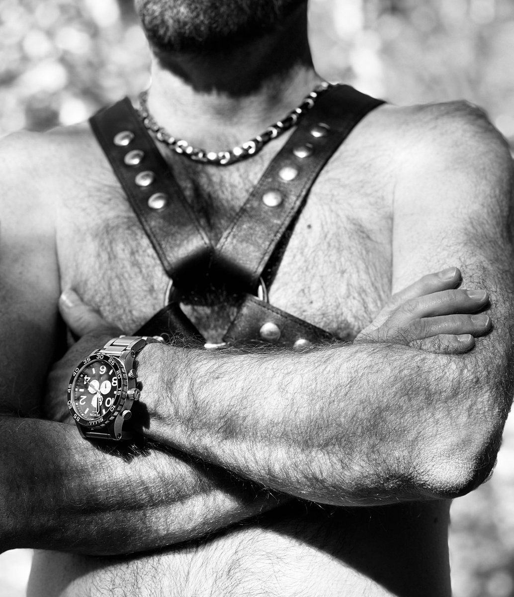 PupTAG (@itag41) on Twitter photo 