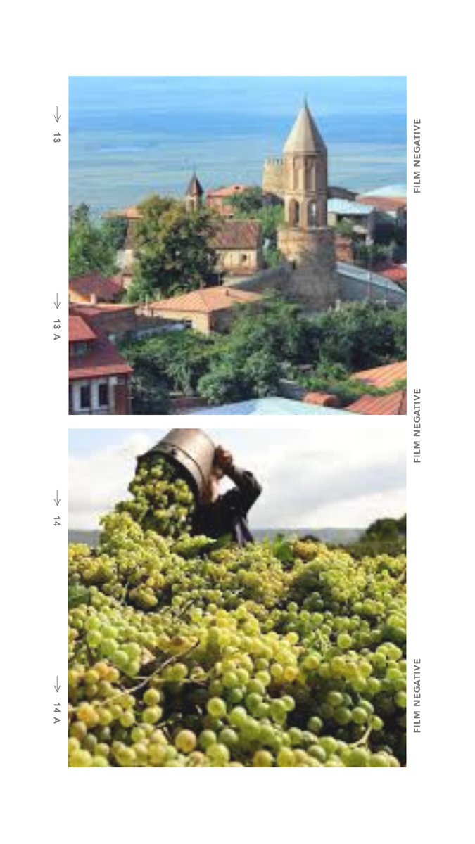 LizPalmer_'s tweet photo. 🇬🇪✨ Georgia’s Wine Tourism Boom…
continues at https://t.co/WamToWyw1T
#WinetourisminGeorgia #WinetourismGeorgia #Winetourism #Winelover #wine #winenews #tourismnews #GeorgiaWine #TravelGeorgia #Kakheti #SustainableTourism #WineDestinations ##Winetravel #LizPalmer https://t.co/EOQGOSicj7