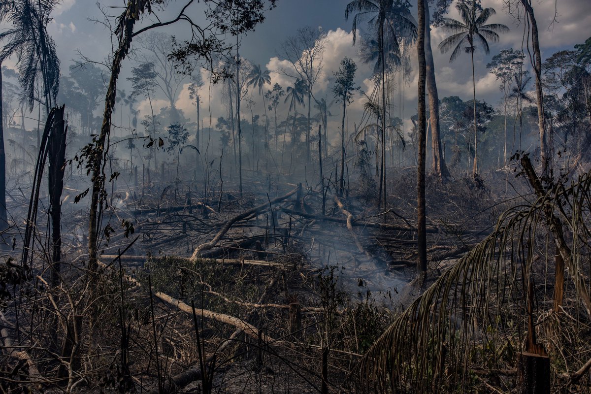 Climate Visuals tweet media