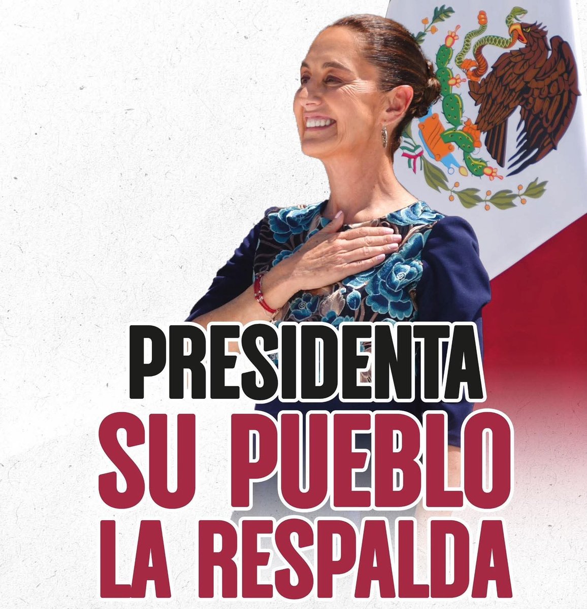 Mexicana Patriota 🇲🇽🇲🇽🇲🇽 Primero México. tweet media