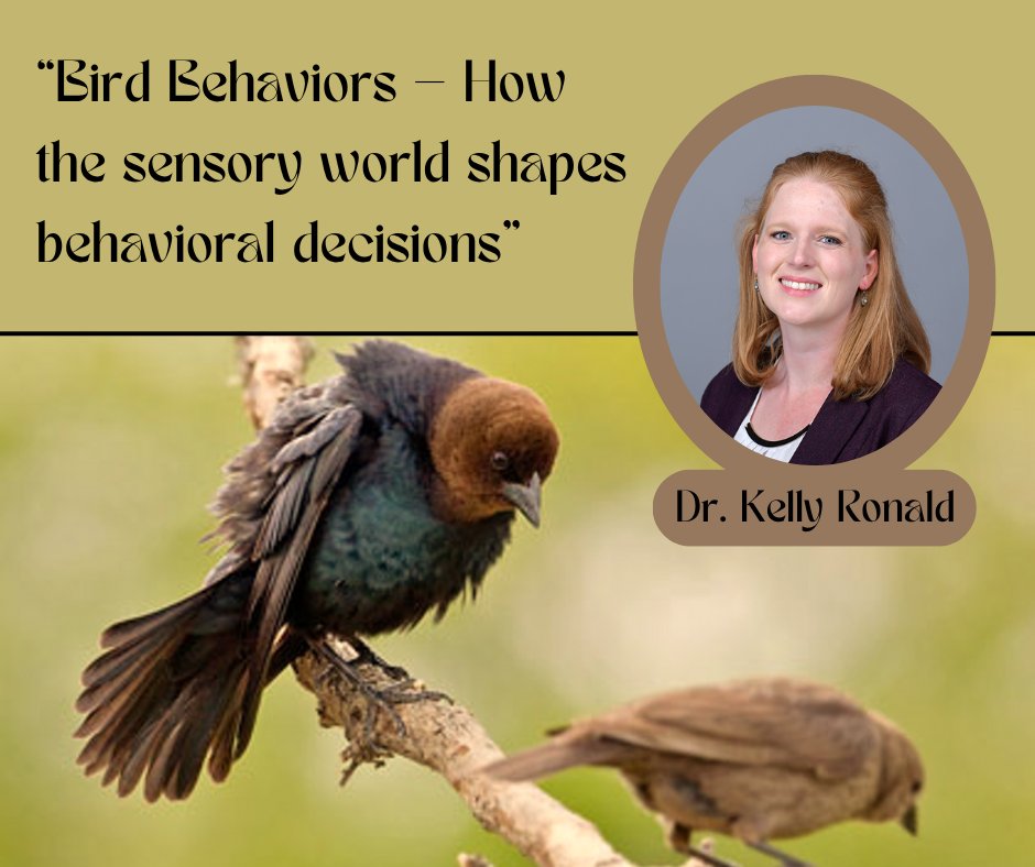 Hope College Biology tweet media