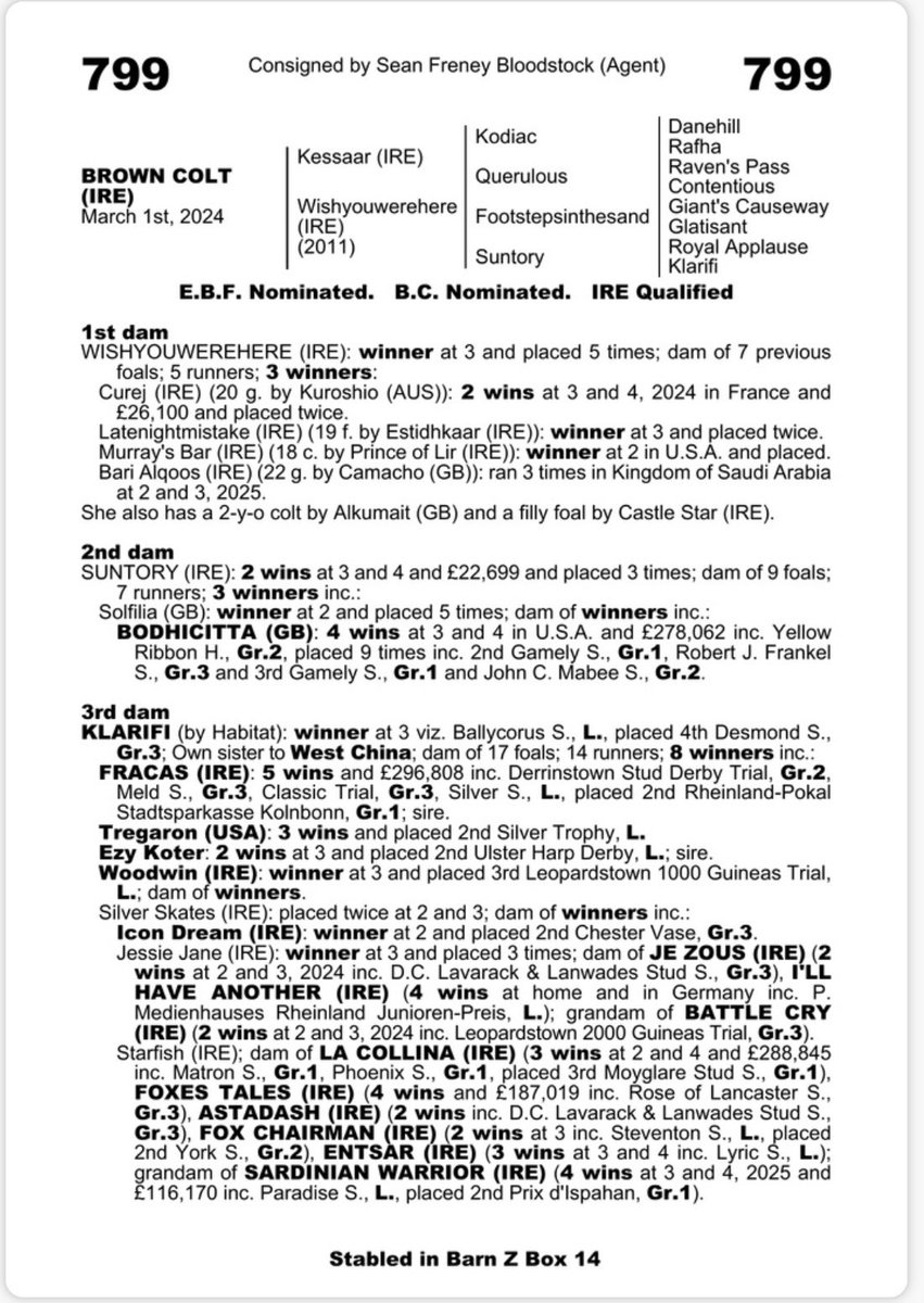 SeanFreney77's tweet photo. Delighted to be offering this absolute belter @Goffs1866 Autumn Yearling sale.He is a half brother to 3 winners from the family of Fracas etc.
Showing at Barn Z box 14 
Don’t miss him! @seanfreneyBS https://t.co/FHhWOyDh7s