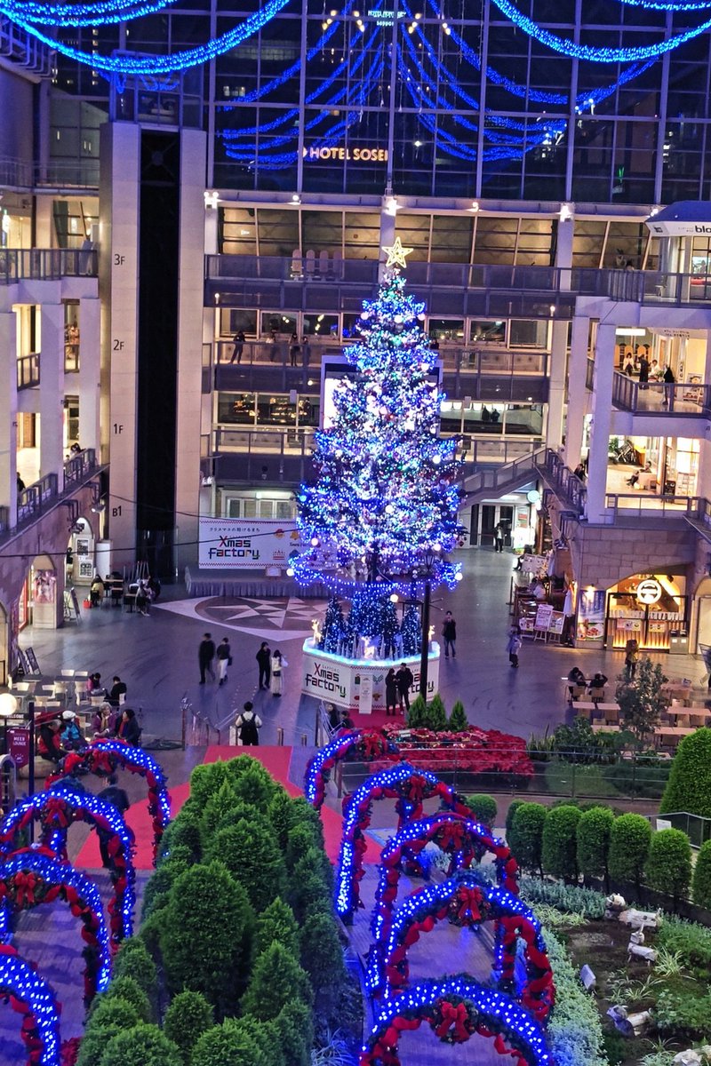 クリスマスツリー - Search / X