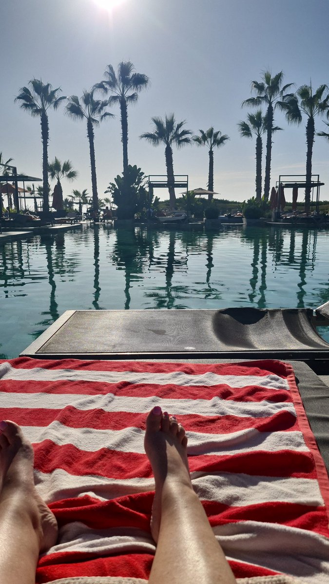 My current view 😍.  It is lovely and warm although the pool is freezing. <a href="/RiuHoteles/">RIU Hotels & Resorts</a> you have done it again #morroco