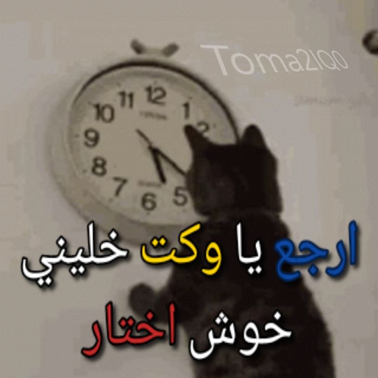 بسبوسة (@troom9troom9) on Twitter photo 